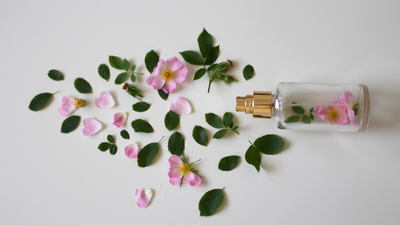 Extrait de Parfum vs. Eau de Parfum: The Battle of Fragrance Intensity